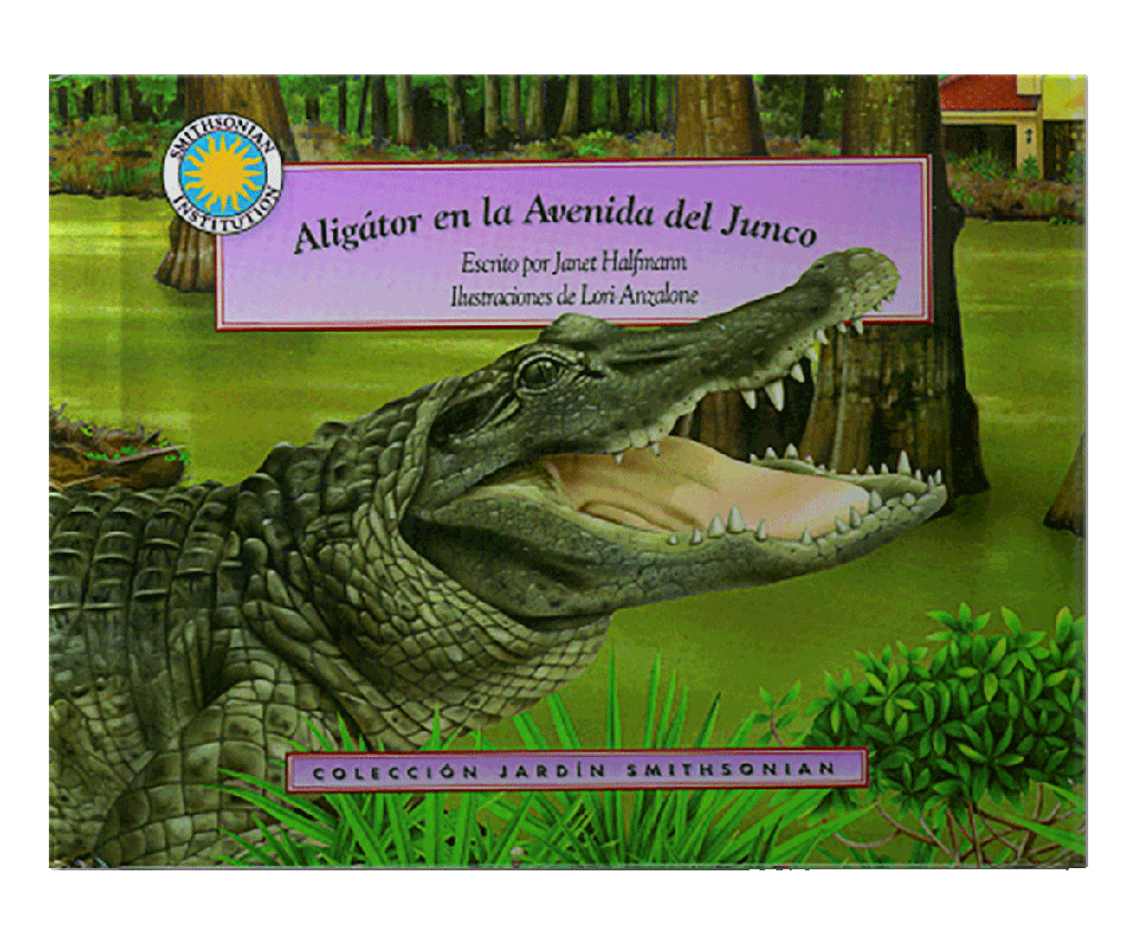 ALIGATOR EN LA AVENIDA DEL JUNCO