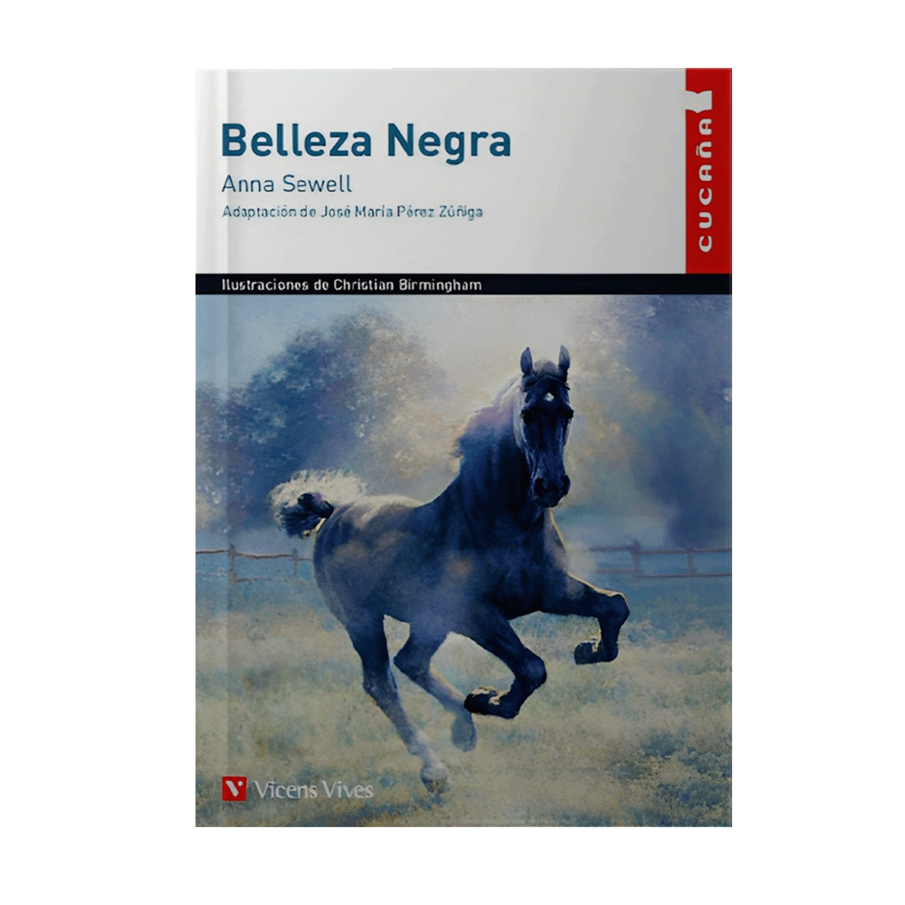 BELLEZA NEGRA