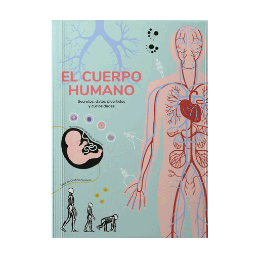 [15517] CUERPO HUMANO, EL | VICENSVIVES