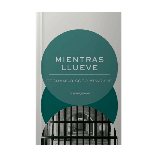 [30070] MIENTRAS LLUEVE | PANAMERICANA