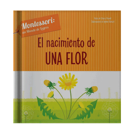 [14891] NACIMIENTO DE UNA FLOR, EL | VICENSVIVES