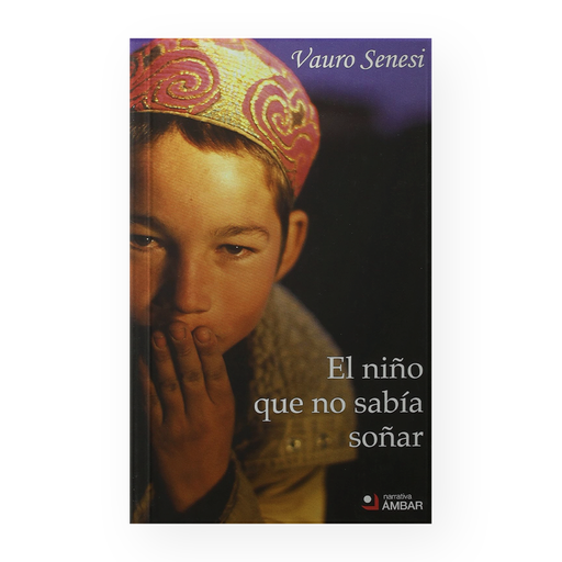 [16933] NIÑO QUE NO SABIA SOÑAR, EL | AMBAR