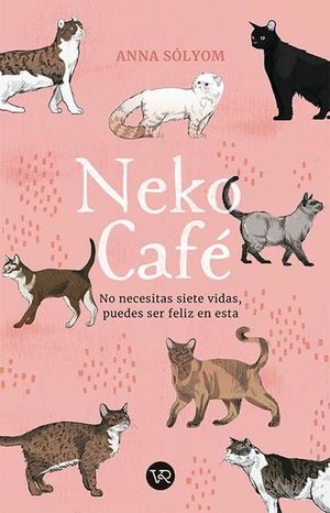 NEKO CAFE