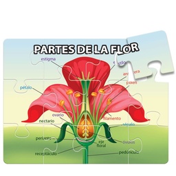 [1716] ROMPECABEZAS PARTES DE LA FLOR | HANDS