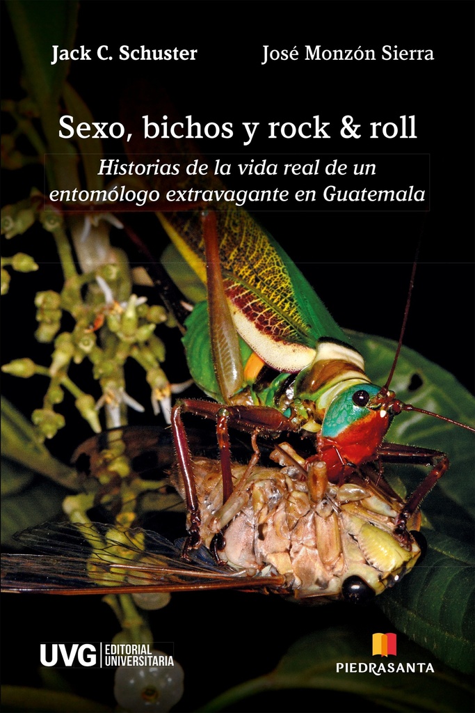 [214879] SEXO, BICHOS Y ROCK AND ROLL | PIEDRASANTA